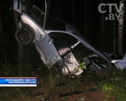 От удара машина полезла на дерево