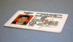В России ввелось международное водительское удостоверение