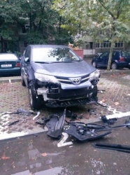 Румыния: бродячие голодные собаки разгрызли автомобиль Toyota